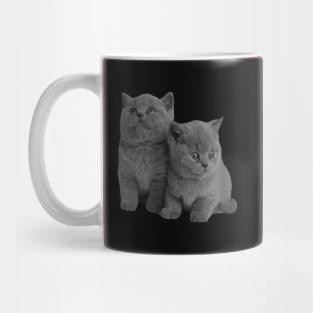 kittens on the black Mug